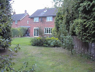 Back garden after the tree trim